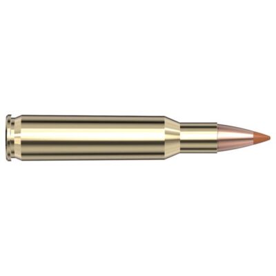 Hornady Superformance Rifle Ammunition .222 Rem 35 gr NTX 3760 fps - 20/ct