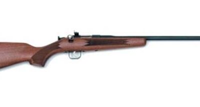 CHIPMUNK 22 LR DELUXE WALNUT BLUED