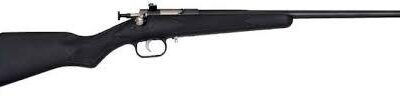 Crickett "My First Rifle" .22 LR 16" Barrel Synthetic Stock- Black