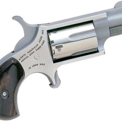 NAA MINI REV .22LR/22M COMBO 1-1/8" BRL