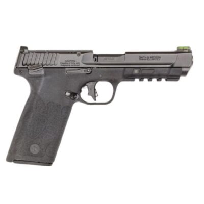 Smith & Wesson M&P Handgun .22 WMR 10rd Magazines (2) 4.35" Barrel Black Compliant